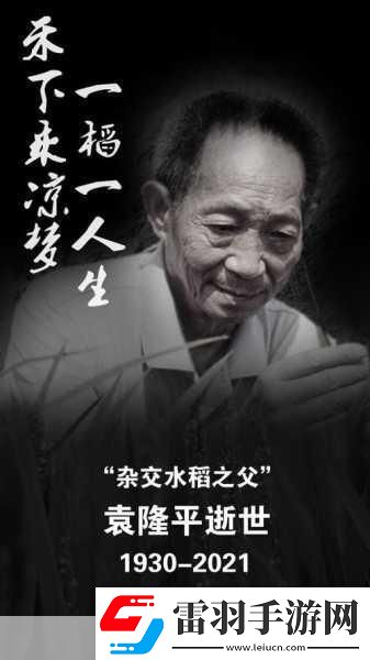 袁隆平逝世是真的吗杂交水稻之父袁隆平逝世辟谣