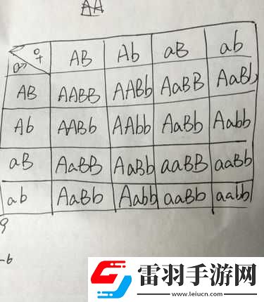 AABB与AAAA的区别据说能找到齐全的视频资源