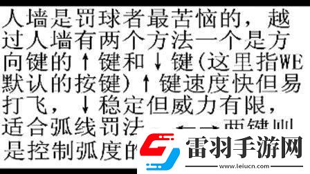 “实况足球8”