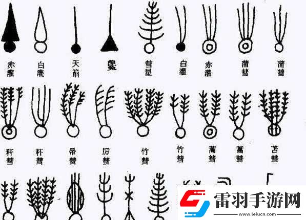 世界上最小BB有几个