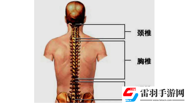 颈腰挺过那层薄膜