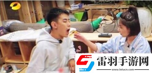 亲爱的客栈里阚清子纪凌尘吃的辣条是什么牌子多少钱