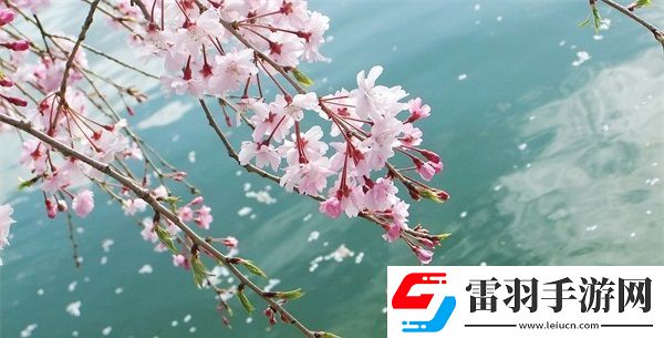 hp公交车灌溉系统几个庄主工人