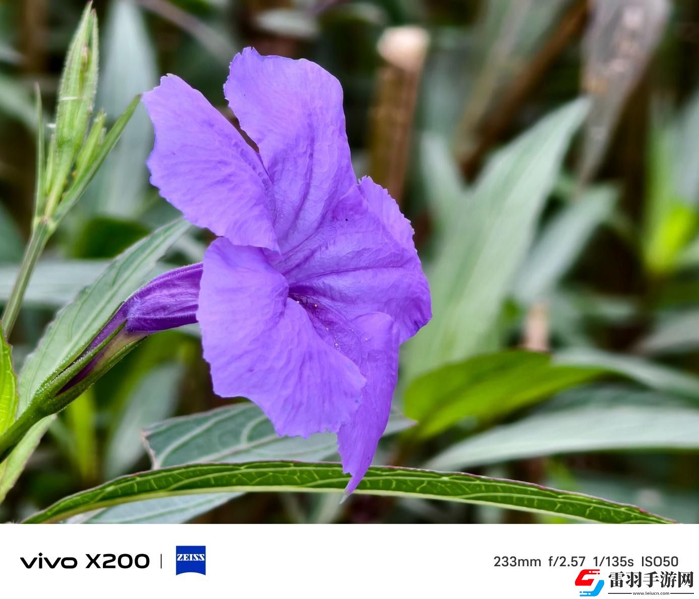 vivoX200评测