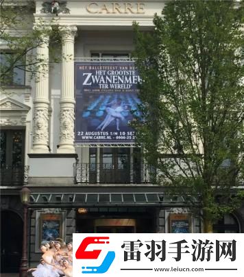 游荡大家庭交响曲