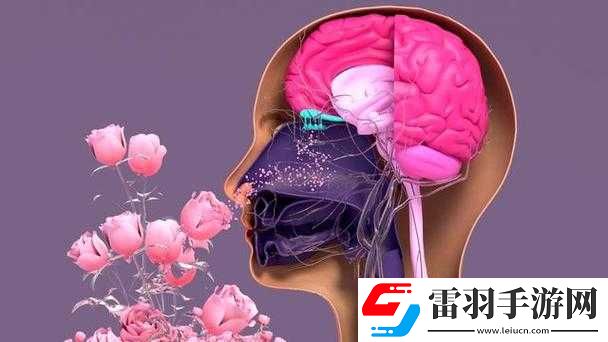 铜铜铜铜铜铜好多疼在线观看