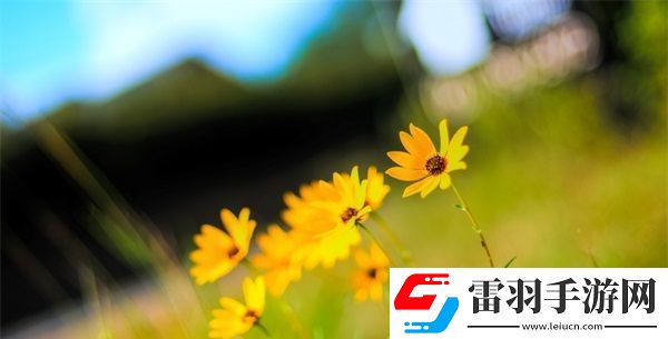 亚洲一线产区二线产区地图