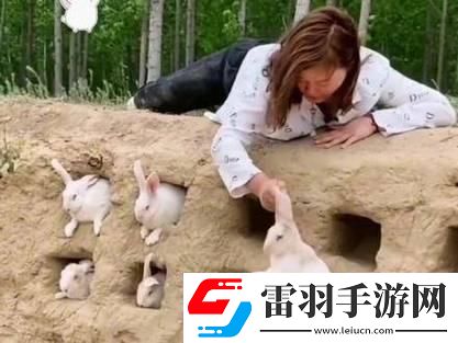 跳跳兔创新记