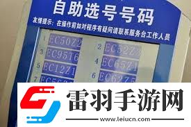 41114车牌号的文化寓意与吉利与否探讨