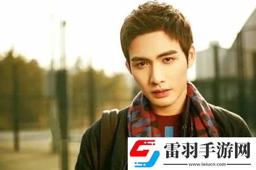 安守书荧幕魅力全那些让人难以忘怀的电视剧角色大赏