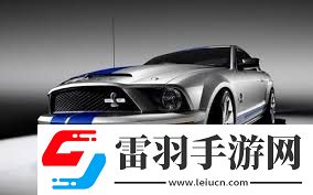 41114车牌号的文化寓意与吉利与否探讨