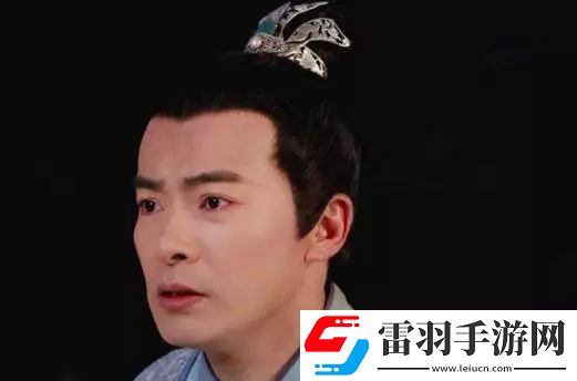 安守书荧幕魅力全那些让人难以忘怀的电视剧角色大赏