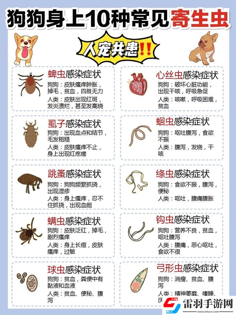 “汪星人的体内迷宫