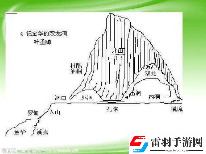 双龙进洞夹心饼干的营养价值