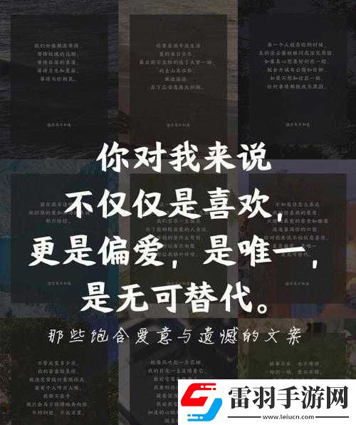 极致偏爱1vs2