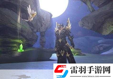探索魔幻新纪元
