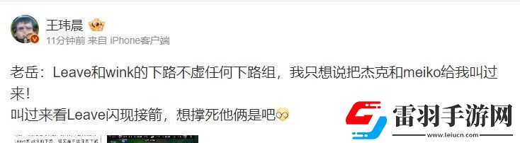 回旋镖来咯！媒体人锐评老岳说Leave强