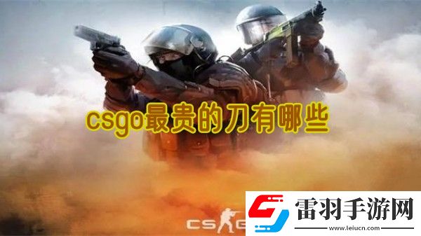 csgo最贵的刀有哪些