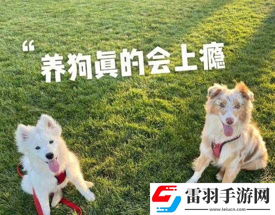 被自己家狗上瘾了怎么办