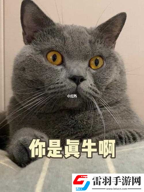 两毫米的小洞你却稳稳命中
