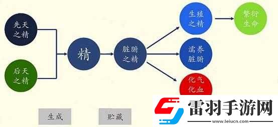 精二和精三的区别科精二和精三大公开