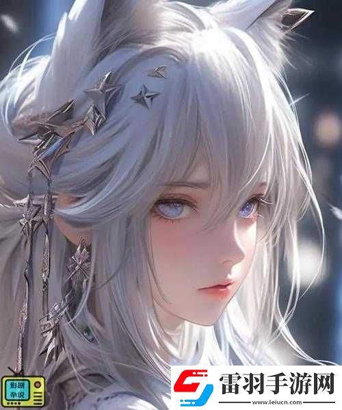 暗卫营大型HPN