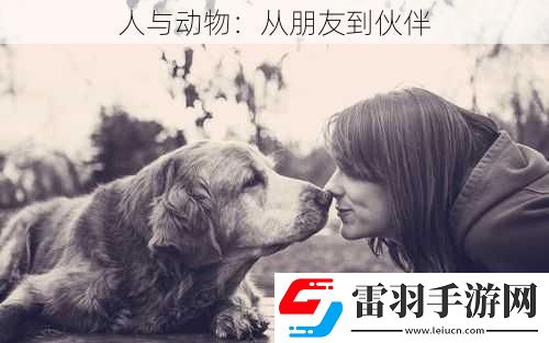 人与动物