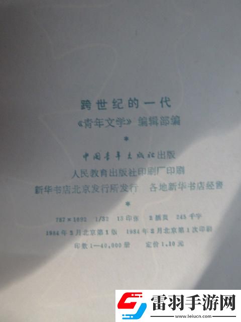 跨越时代的辉煌一刻——哪一年真正迎来了跨世纪的风华绝代