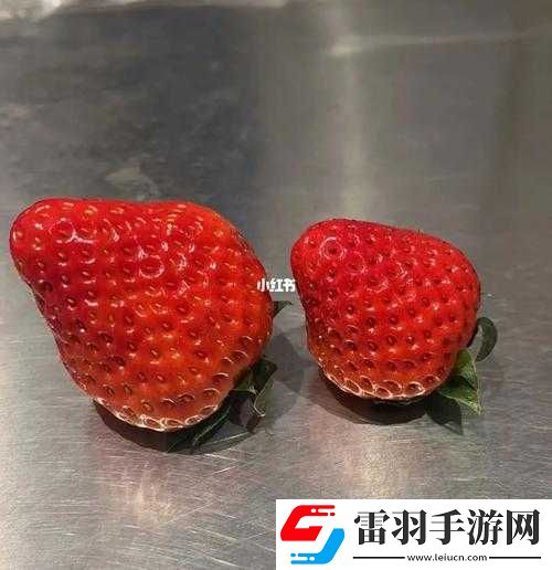 蜜丝婷大草莓与小草莓比较优劣