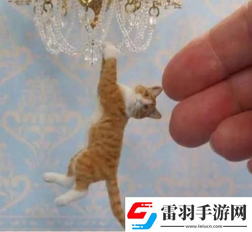 时间之神的猫210攻略路线详情