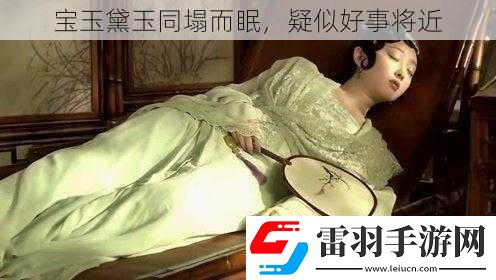 宝玉黛玉同塌而眠