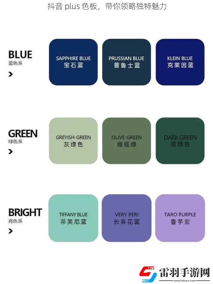 抖音plus色板带你领略独特魅力