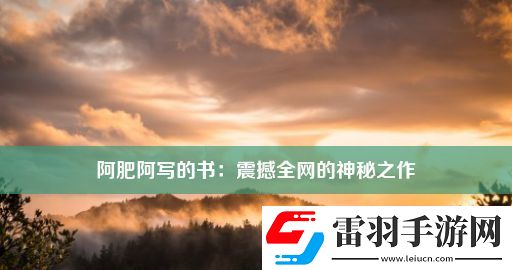 阿肥阿写的书