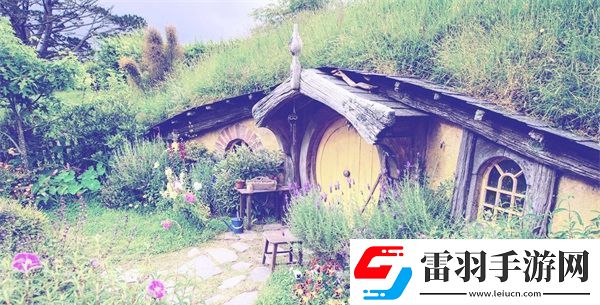 顶尖大但人文艺术展览2023