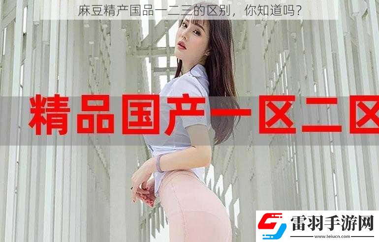 麻豆精产国品一二三的区别