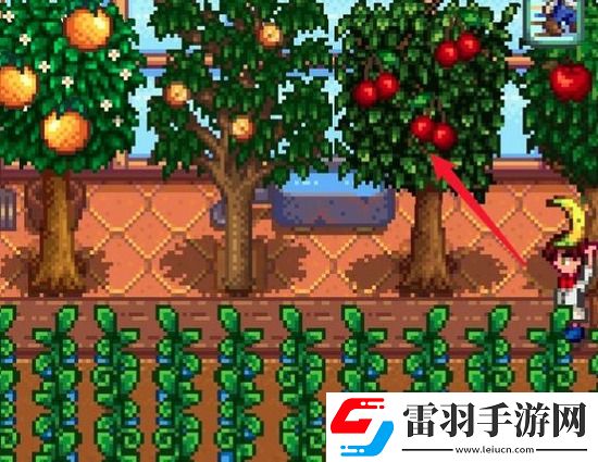 星露谷物语果酱怎么制作