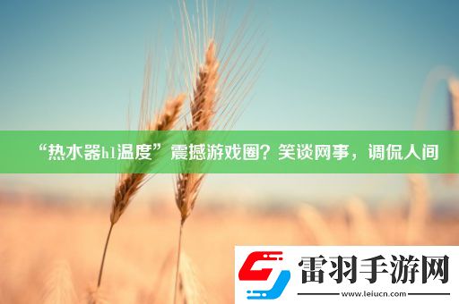 “热水器h1温度”震撼游戏圈笑谈网事调侃人间