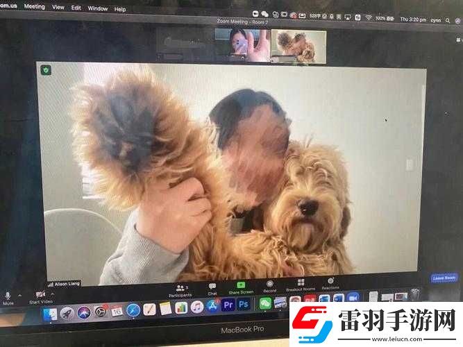 狗Zoom和人类Zoom哪个好