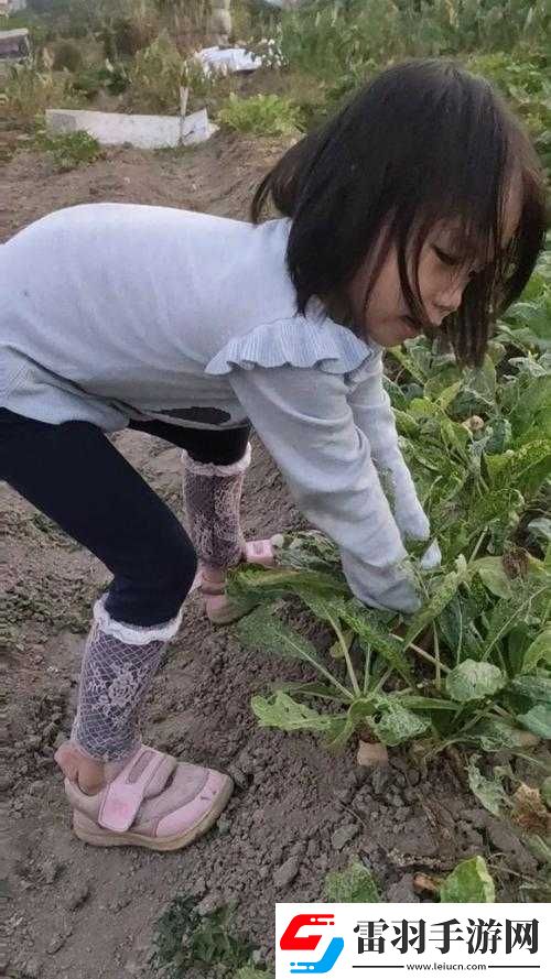 12岁女孩拔萝卜最有效