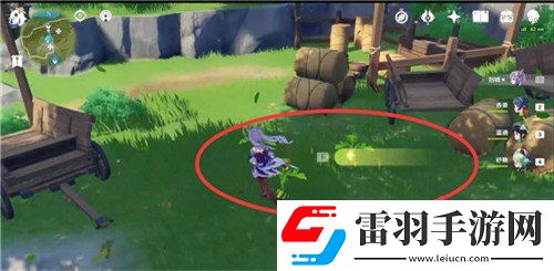 原神白萝卜在哪获得白萝卜获得位置介绍