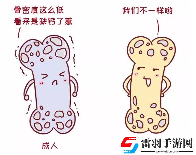 儿童骨密度偏低代表着缺钙吗