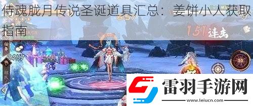 侍魂胧月传说圣诞道具汇总