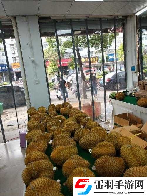 8008