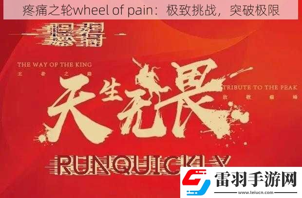 疼痛之轮wheel