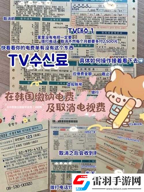 韩国三色电费免费吗