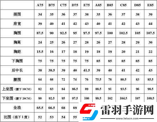 欧洲码尺码