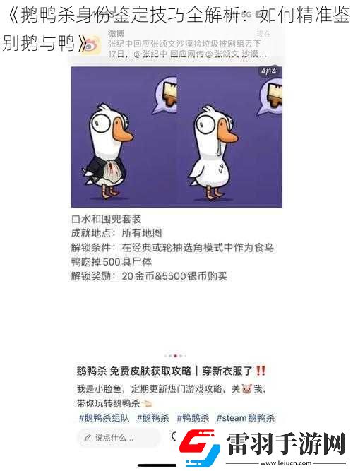 鹅鸭杀身份鉴定技巧全解析