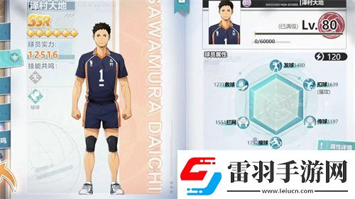 排球少年新的征程角色养成攻略介绍