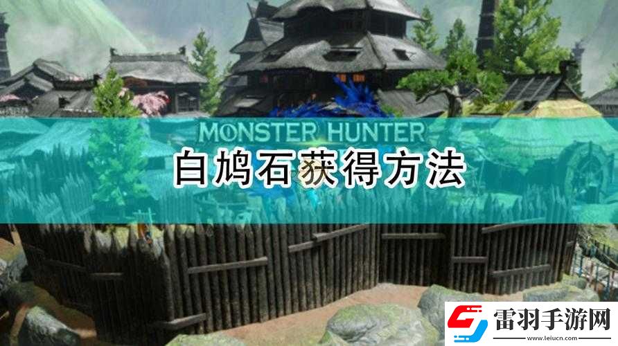 怪物猎人世界白鸠石位置及获得方法详细介绍大揭秘
