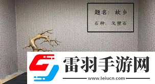 石来运转